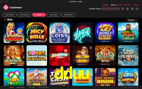 dduu App Interface